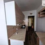 Rent 2 bedroom apartment of 65 m² in Nýřany