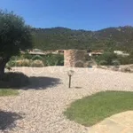 Rent 4 bedroom house of 80 m² in Golfo Aranci