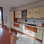 Rent 4 bedroom apartment of 80 m² in Padua