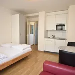 Rent 1 bedroom apartment of 30 m² in Zürich