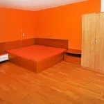 Rent 1 bedroom apartment of 38 m² in Prague