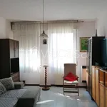 Rent 2 bedroom apartment of 68 m² in Piacenza