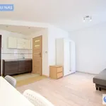 Rent 1 bedroom apartment of 25 m² in Krakow