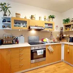 Rent 2 bedroom apartment in Pilsen