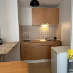 Appartement de 48 m² avec 1 chambre(s) en location à Grenoble