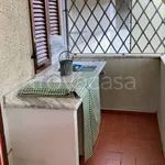 Rent 3 bedroom apartment of 90 m² in Seravezza