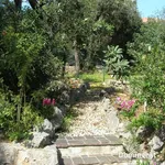 Single family villa via delle Gardenie, Ansedonia, Orbetello