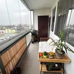 Rent 1 bedroom apartment of 35 m² in Capital City of Prague