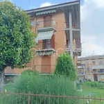 Rent 2 bedroom apartment of 54 m² in Villanova Mondovì