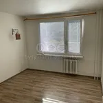 Rent 1 bedroom apartment of 35 m² in Děčín