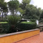 Rent 3 bedroom apartment of 120 m² in Roma