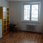 Rent 2 bedroom apartment of 44 m² in Brno