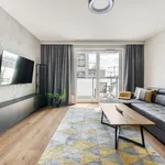 Rent 3 bedroom apartment of 65 m² in Łódź