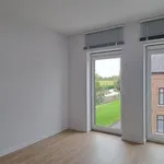 Huur 3 slaapkamer appartement in Borgloon