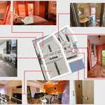 Rent 3 bedroom apartment of 65 m² in Padova