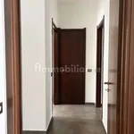 Rent 3 bedroom apartment of 117 m² in Segrate