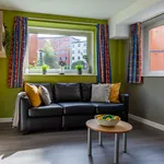 Rent 1 bedroom flat in Sheffield