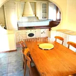 Rent 1 bedroom apartment of 120 m² in Pederiva