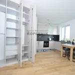 Rent 3 bedroom apartment of 54 m² in Toruń