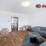 Rent 2 bedroom apartment in Opava