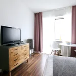 Rent 1 bedroom house of 32 m² in Cologne