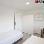 Rent 3 bedroom apartment of 33 m² in Brno