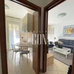 Rent 3 bedroom apartment of 80 m² in Varese