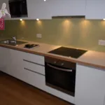 Rent 5 bedroom apartment of 222 m² in Vienna