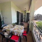 Rent 3 bedroom apartment of 70 m² in Roma