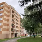 Podnájem kompletně rekonstruovaného DV 2+kk bytu s lodžií, obytná plocha 45 m2, Třeboňská 528, Borovany, okr. České Budějovice.