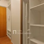 Rent 1 bedroom apartment of 24 m² in Prague