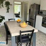 Rent 3 bedroom apartment of 80 m² in Turin