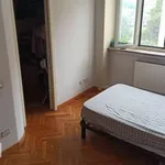 Rent 1 bedroom apartment of 50 m² in Novara