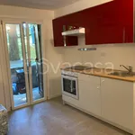 Rent 1 bedroom apartment of 35 m² in Pavia