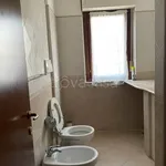 Rent 3 bedroom apartment of 85 m² in Colleferro