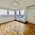 Rent 6 bedroom apartment of 210 m² in Wien