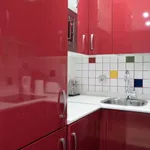 Rent 1 bedroom apartment in madrid