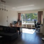 Rent 1 bedroom apartment in Antwerpen