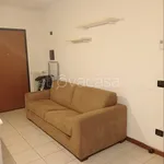 Rent 1 bedroom apartment of 30 m² in Milano