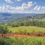 Rent 2 bedroom apartment of 60 m² in Montese