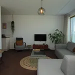 Rent 2 bedroom apartment of 71 m² in De Wijert