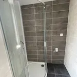 Rent 1 bedroom apartment in Plzeň