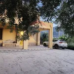 Rent 3 bedroom house of 80 m² in Carini