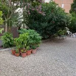 Rent 3 bedroom apartment of 77 m² in Bologna