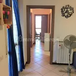 Rent 3 bedroom apartment of 80 m² in Chieti