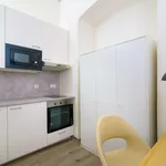 Studio o rozloze 15 m² v prague