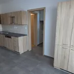 Rent 2 bedroom apartment in Hodonín