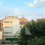 Rent 1 bedroom apartment of 40 m² in Mantua