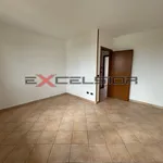 Rent 1 bedroom house of 180 m² in Cavarzere