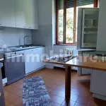 Rent 3 bedroom apartment of 110 m² in Monza